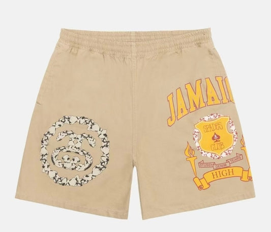 STUSSY X DENIM TEARS