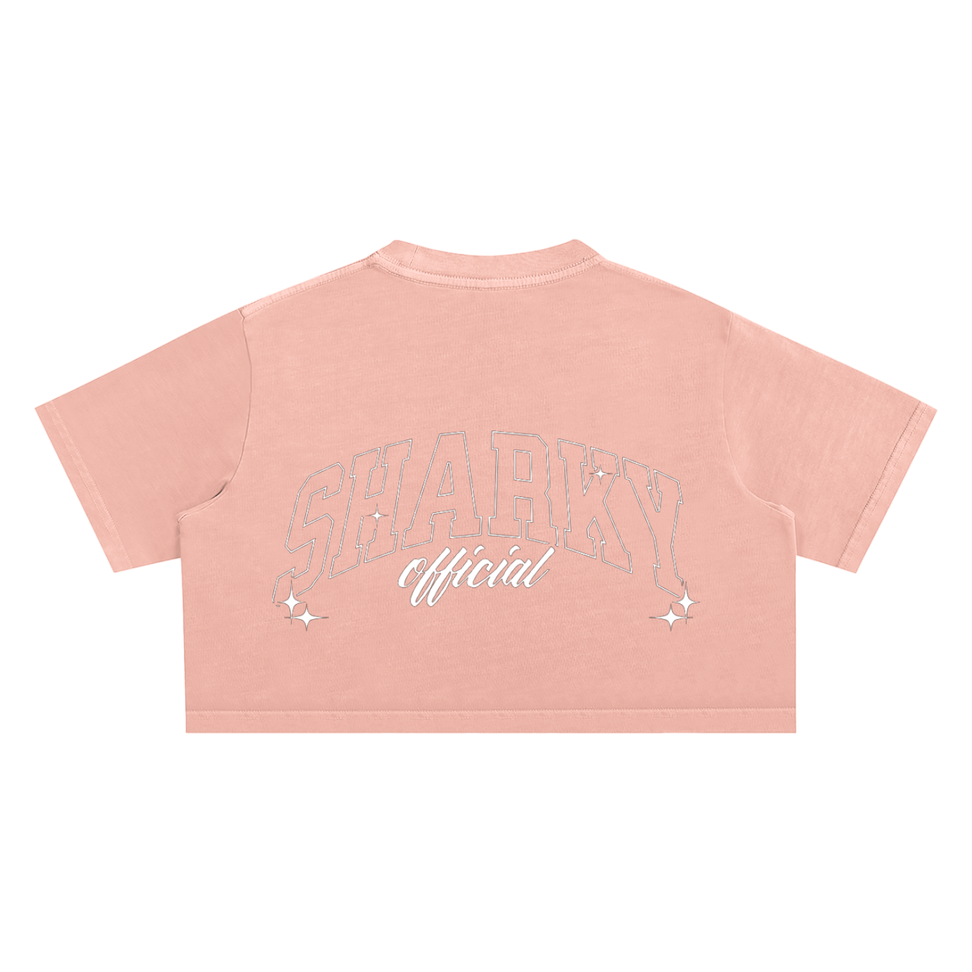 Snow Washed Crop Top